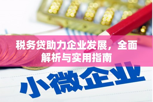 铅山税务贷助力企业发展，全面解析与实用指南