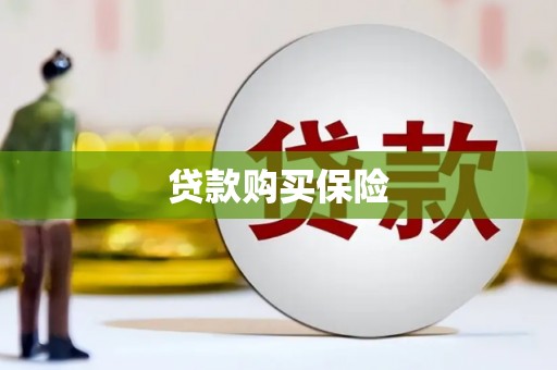 铅山贷款购买保险