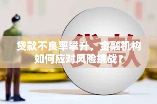 铅山贷款不良率攀升，金融机构如何应对风险挑战？