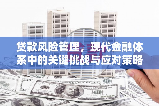 铅山贷款风险管理，现代金融体系中的关键挑战与应对策略