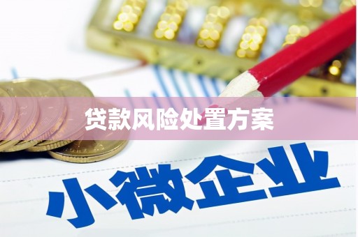铅山贷款风险处置方案